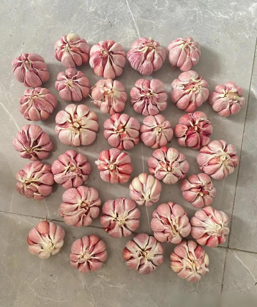 过年生活小妙招_春节生活小技巧_过节生活小技巧