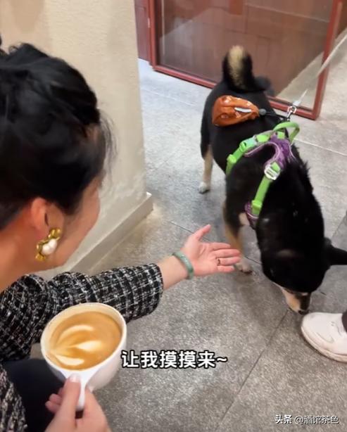 上海明星健身教练_上海健身博主_明星上海居家健身