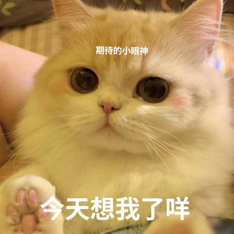 生活趣事小广播怎么写_广播趣事写生活小报怎么写_广播搞校园趣事
