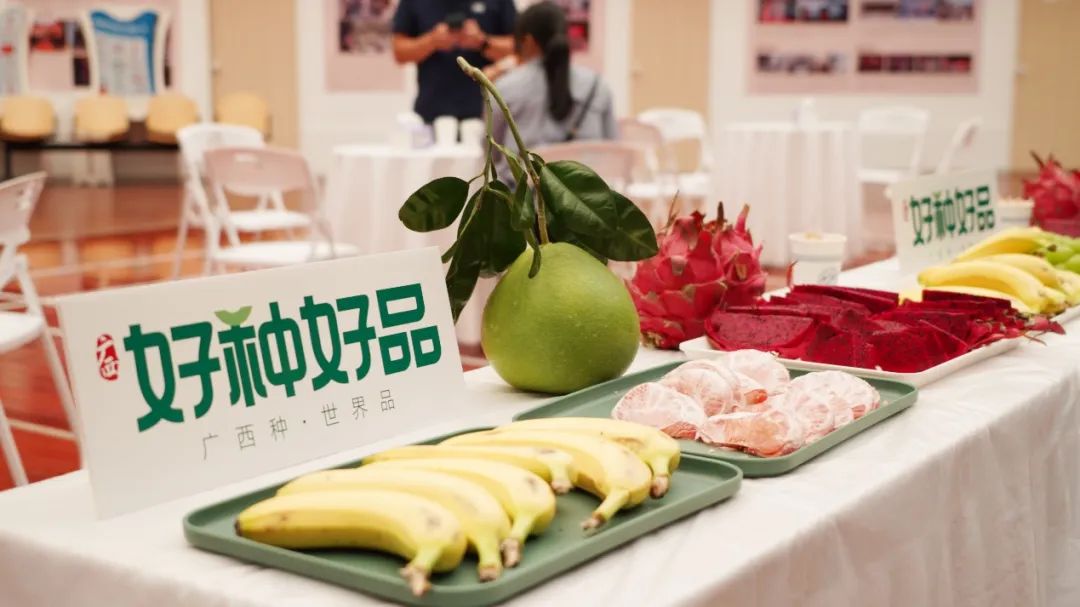 南宁马拉松2021官网_南宁马拉松国际赛_南宁国际马拉松2020