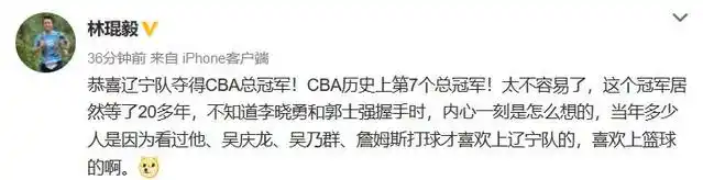 辽宁篮球冠军加金牌是谁_辽宁金牌运动员_辽宁拿冠军